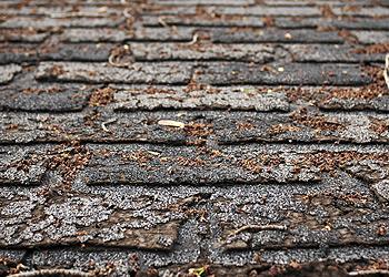 Highland Lakes Roofing Images